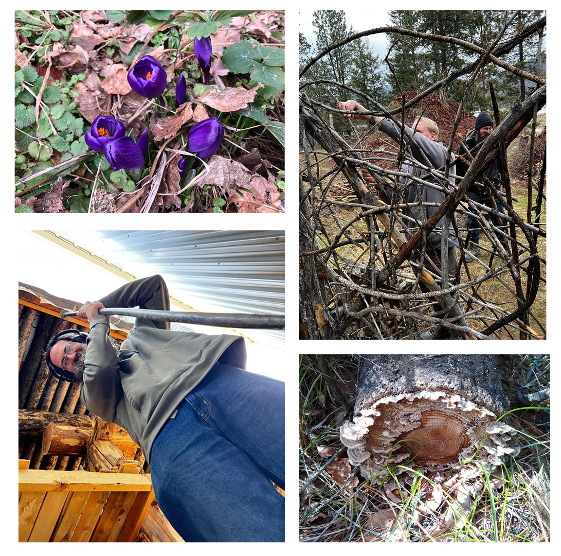 SmallCollage wheaton labs permaculture bootcamp