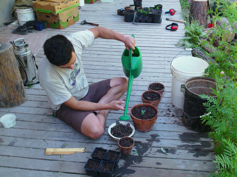 watering-plants